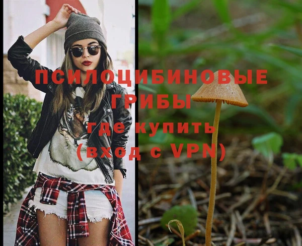ПСИЛОЦИБИНОВЫЕ ГРИБЫ Белоозёрский